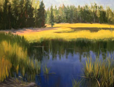 High Country Lake Tuolumne Tioga Pass Lake