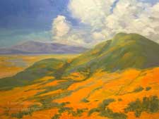 Season of the Superbloom