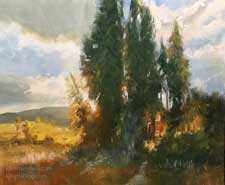 Sunset Shadows backlit poplar trees Colorado Eagle nature preserve