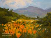 Poppy Promenade poppies miniature oil painting